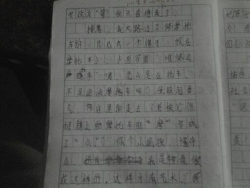 校園調(diào)查報(bào)告寫(xiě)一篇作文400字