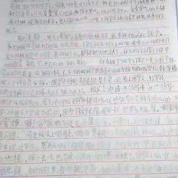 寫雨中的校園作文1000字