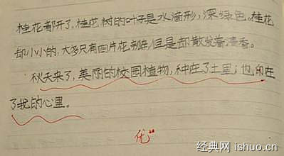 秋天的校園作文600字,秋天的校園作文300字,秋天的校園300字作文三年級(jí)