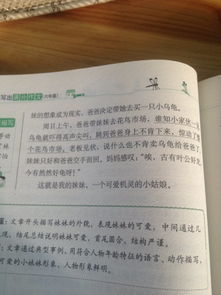 寫一件我校園里事情300字作文三級(jí)作文