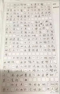 校園調(diào)查作文怎么寫(xiě)