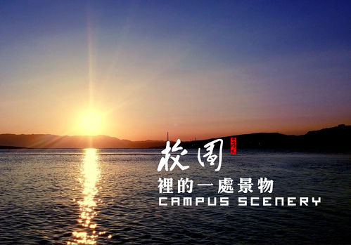 有關(guān)校園的景色作文