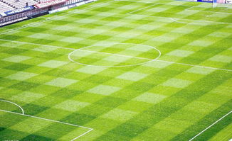 校園足球場環(huán)境的作文