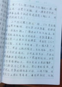 小學校園環(huán)保征文1000字作文