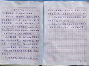 我的校園圖書館小學作文