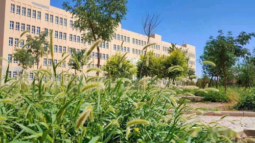 作文,美麗,校園