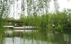 寫春天來(lái)到了校園作文200字