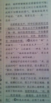 描寫(xiě)雨中的校園的作文600字