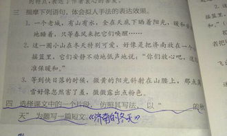 走進法制校園作文400字左右