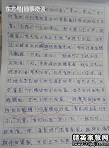 小學(xué)作文校園美景評(píng)語