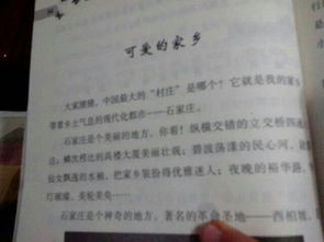 我愛,作文,我家,校園