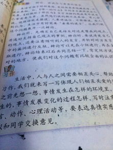 校園的一角作文圖書(shū)角,校園的一角—植物角作文,校園的一角衛(wèi)生角作文