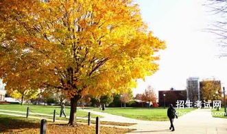 秋天的校園作文三百字怎么寫