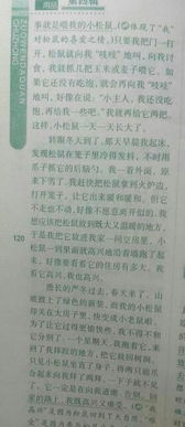 半命題作文一道校園的風景