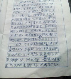 校園積極向上的作文350字