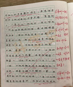 作文,評(píng)語,校園