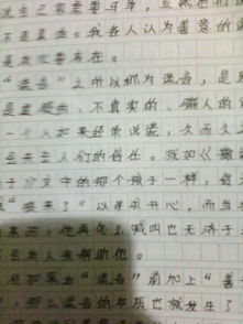 五級關于寫校園的作文400字作文