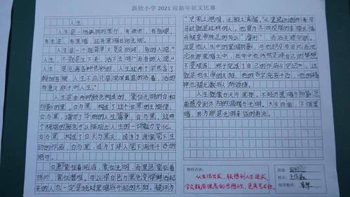校園新計(jì)劃作文400字作文怎么寫