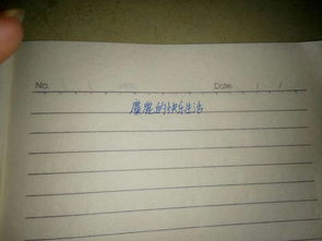 描寫校園的生活樂的作文三百字