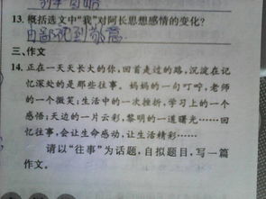 校園最美的瞬間作文,校園最美的瞬間作文300字,尋找校園最美的風景作文
