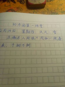 校園里的一場雪500字作文