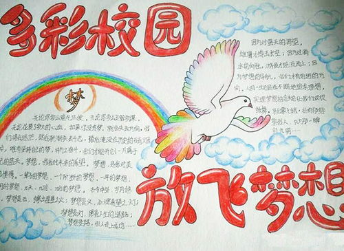 愛我校園放飛夢(mèng)想800字作文高中