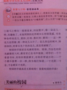 校園的顏色寫篇作文