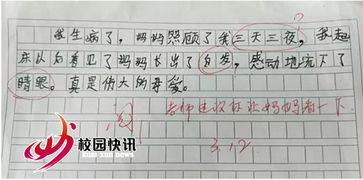 小學生校園里的菠蘿蜜作文