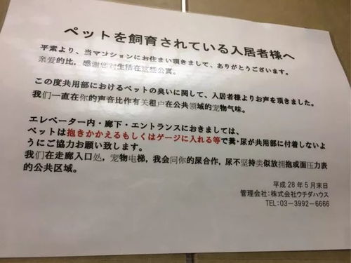 校園里愛情看法英語作文