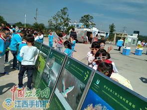 科普大篷車進校園觀后感作文,科普大篷車進校園活動作文,科普大篷車進校園活動作文300字