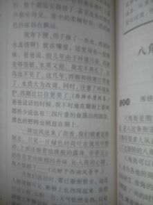 寫校園快樂(lè)游戲的作文100字