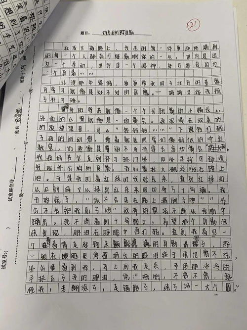 作文,描寫,美麗,校園