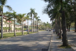 清晨的校園作文400字四級(jí)