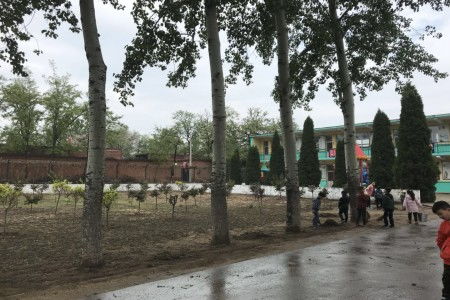 共建美麗和諧校園的作文