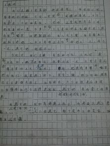 作文,初中,點(diǎn)評(píng),校園