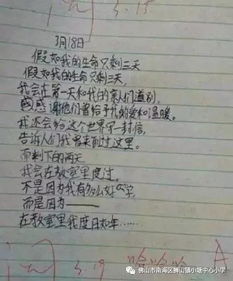 關于校園網(wǎng)絡安全的作文600字