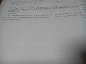 校園的樟樹作文300字四年級,校園里的樟樹作文,校園的大樟樹作文400字春夏秋冬