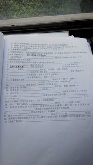 校園早晨的動(dòng)靜結(jié)合寫一段作文