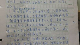 小學生作文下雨天的校園