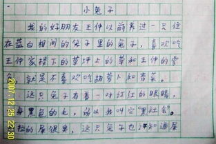 校園里來了一群小動(dòng)物作文300字