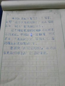 作文400字校園風(fēng)景