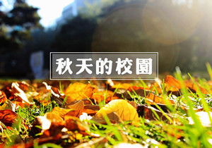 秋天校園風景作文500