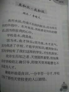 秋風(fēng)吹過的校園作文