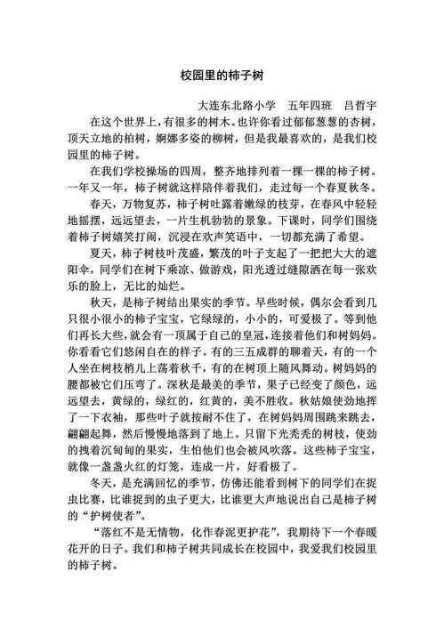 介紹校園市子樹(shù)的作文
