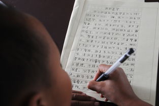 4級作文題目我的校園