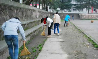 校園大掃除作文300字點(diǎn)面結(jié)合,校園大掃除作文600字以上,校園大掃除作文600字點(diǎn)面結(jié)合