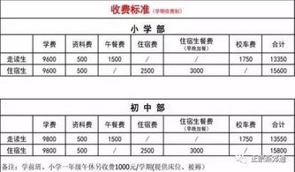 獨一無二的校園作文開頭