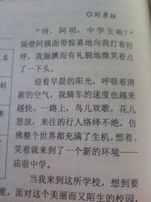 作文,絢爛,校園生活