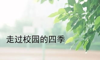 以四季的校園寫篇作文