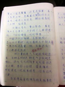 校園景點介紹作文200字作文